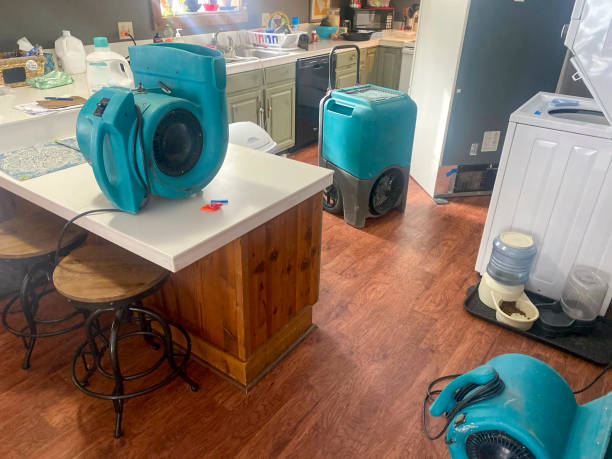 Best Water damage restoration specialists  in Porters Neck, NC