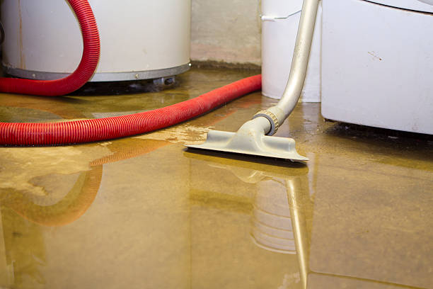 Best Water damage repair service  in Porters Neck, NC