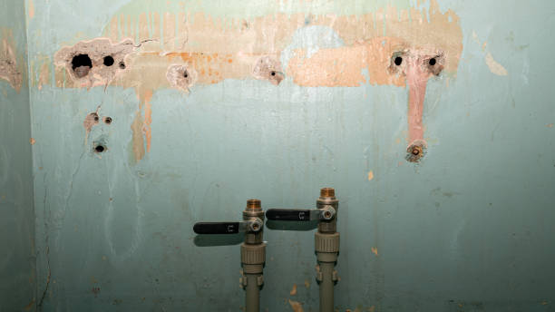Best Flood damage cleanup  in Porters Neck, NC